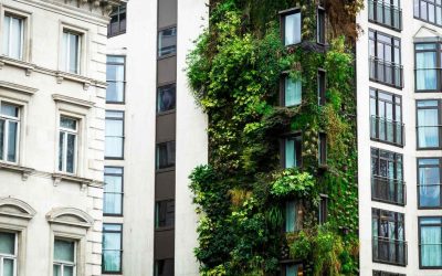 The Complete Guide to Eco-Friendly Apartment Living