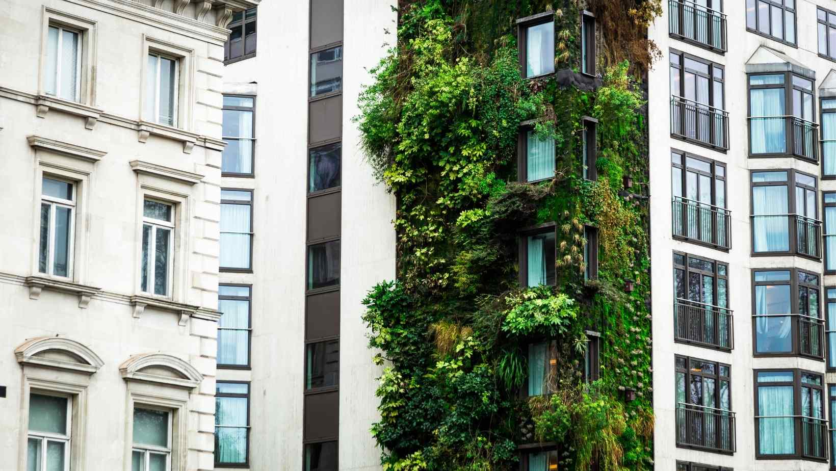 Eco-Friendly Apartment Living