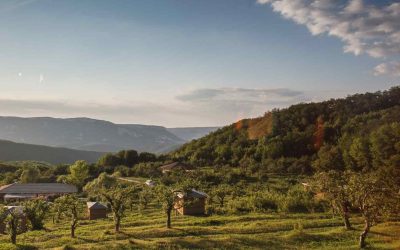 Living in An Eco Village – How We Could All Benefit